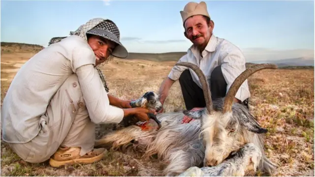 Mutane da dabbobin su