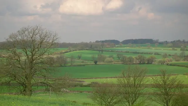 Место, где произошла битва при Босворте