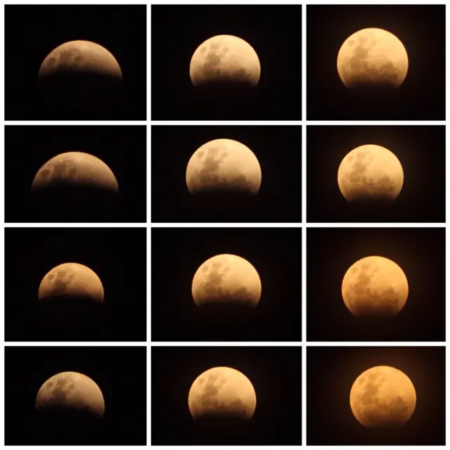 Rangkaian foto 'close up' ini diambil di Jakarta Pusat oleh Prasetijono Widjojo MJ,