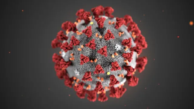 Une illustration montrant la structure du nouveau coronavirus publié par l'institut national de santé publique des États-Unis