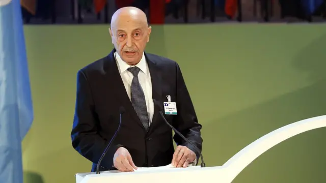 Глава ливийского парламента Акила Салех