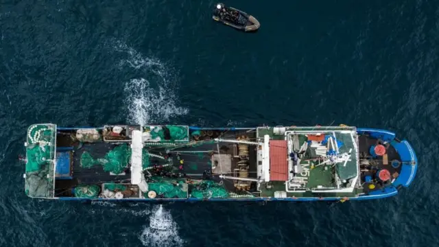 पश्चिमी अफ्रीका की मछलियों को पाउडर में बदल रहे चीनी कारखाने