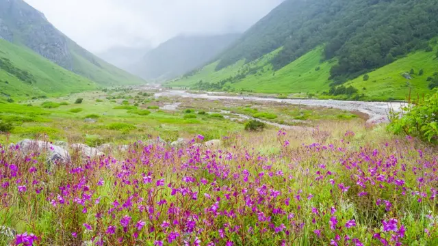उत्तराखंड