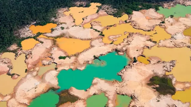 незаконний видобуток золота знищив ліси у басейні річки Мадре-де-Діос