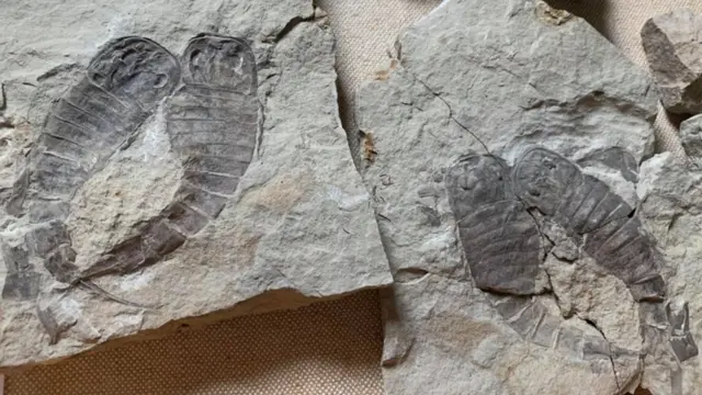 Після венду