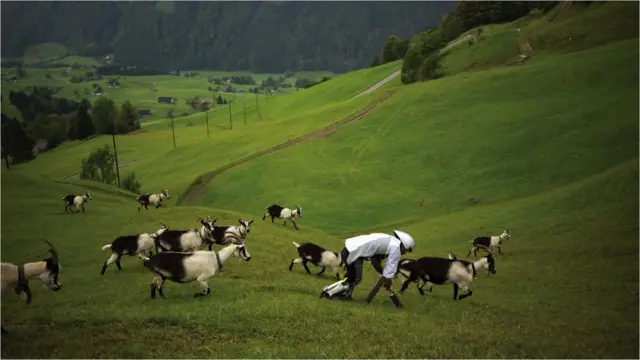 Туэйтс в горах