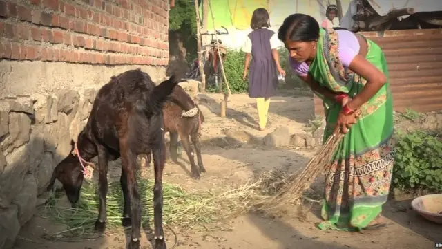 दुर्गाबाई गाढे