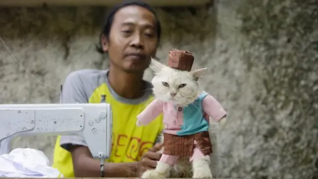 Cat tailor Fredi Lugina Priadi looks at a cat wearing a costume he made in his workshop in Bogor, Indonesia, 02 December 2020