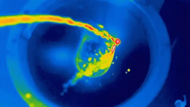 මුත්‍රා