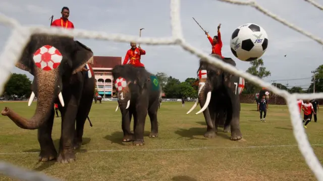 ทีมช้างเตะกับทีมนักเรียน ที่สนามในอยุธยา เพื่อโปรโมทฟุตบอลโลก 2018
