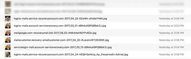 فهرستی از برخی هدف‌های حمله گروه هکری بچه‌گربه دلربا