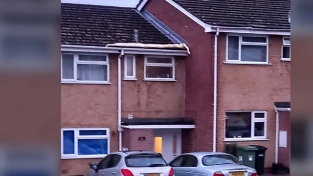 Бурмански питон