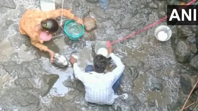 వైరల్ వీడియో