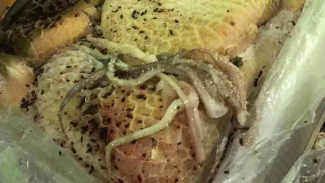 毛肚上有杂物。