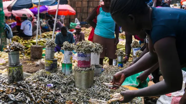 Mfumo mpya uliopendekezwa unaangazia utoaji huduma
