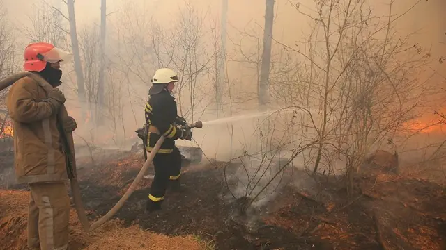 Bombeiros tentam apagar incêndios