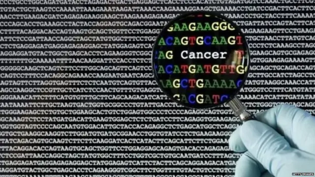 ਡੀਐਨਏ ਟੈਸਟ, ਕੇਲੀ ਰੋਲੇਟ