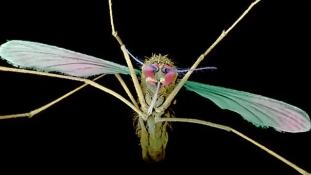 SCIENCE PHOTO LIBRARY
