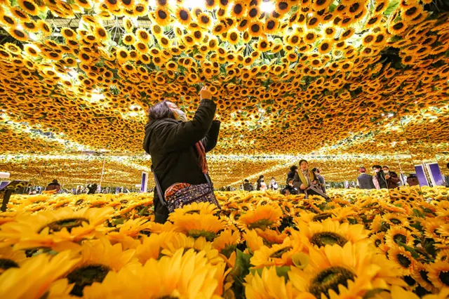 People take pictures at a sunflower installation at the Van Gogh Alive digital art experience exhibition