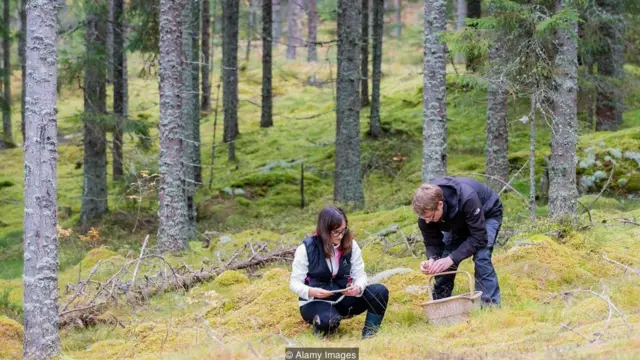 "디지털은 여러모로 도움이 된다. 예를 들어 앱을 통해 더 손쉽게 야외 활동을 알아볼 수 있다"