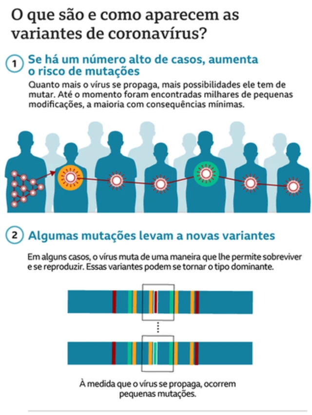 Gráfico sobre o que são as variantes