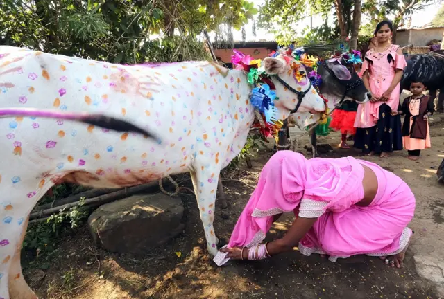 कामधेनु गौ विज्ञान प्रचार प्रसार परीक्षा