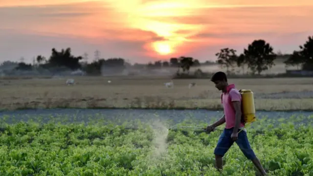 પ્રતીકાત્મક તસવીર
