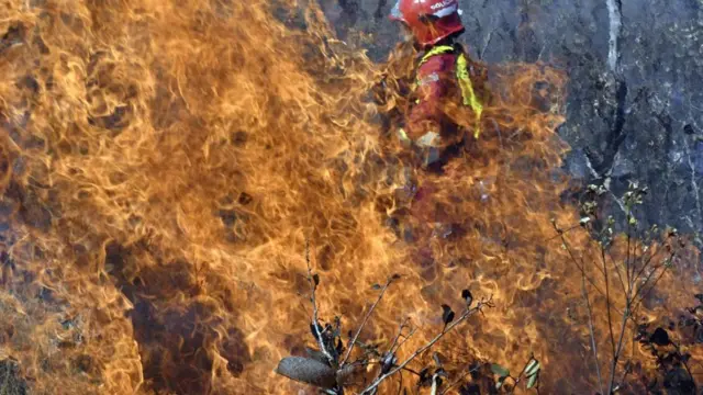 пожары в боливии