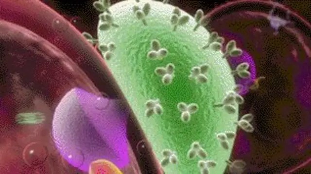 hiv, aids, matt, odha