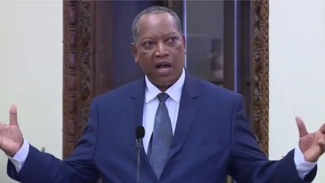 Profesa Palamagamba Kabudi