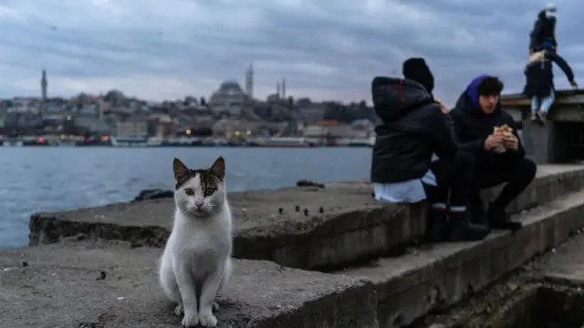 Жители Стамбула