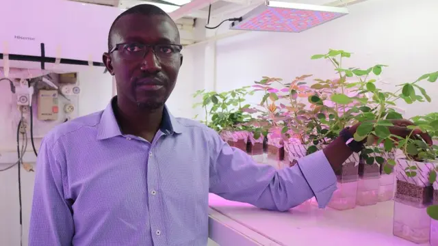 Professeur Abdala Gamby Diédhiou dans un laboratoire de Dakar