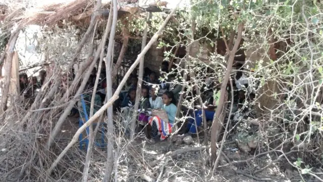 ኣብ ዝተፈላለያ ከባቢታት ትግራይ ምቹእ ኣብ ዘይኮነ ኩነታት ኮይኖም ዝመሃሩ ህጻናት ተመሃሮ ኣለው