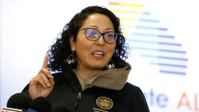 કેલિફોર્નિયા એસેમ્બલીનાં ડેમોક્રેટ સભ્ય ક્રિસ્ટીના ગાર્સિયા છેલ્લાં ચાર વર્ષથી આ કાયદા માટે પ્રયાસરત હતાં.