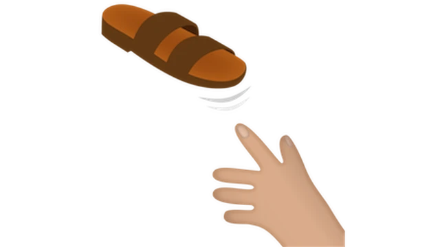 летящий шлепанец