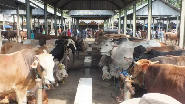 idul adha, covid-19, virus corona, hewan kurban, Pasar Ambarawa