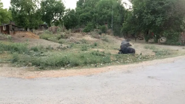 प्रतापगढ़: जहां राजघरानों के ही इर्द-गिर्द घूमती रही सियासत