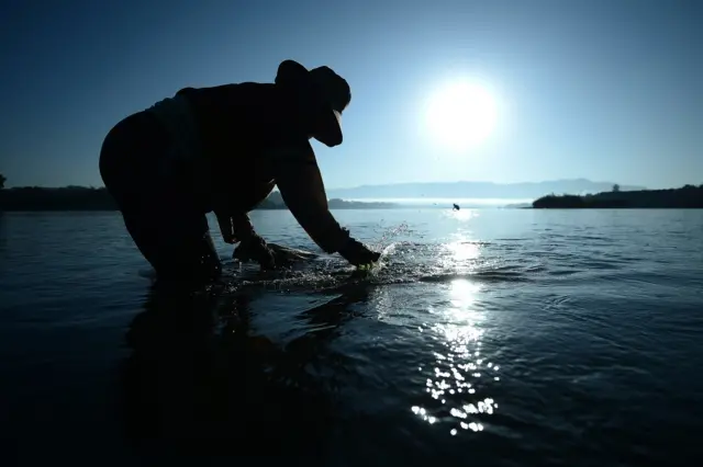 แม่น้ำโขง, กรอบความร่วมมือการประชุมแม่น้ำล้านช้าง-โขง, คณะกรรมาธิการลุ่มแม่น้ำโขง, MRC, หวัง อี้, กระทรวงการต่างประเทศจีน, ไก, สาหร่ายน้ำจืด, เชียงของ, เชียงราย, ผลกระทบ, เขื่อน, มณฑลยูนนาน, แม่น้ำล้านช้าง, สำนักเลาขาธิการความร่วมมือแม่น้ำล้านช้าง-โขง