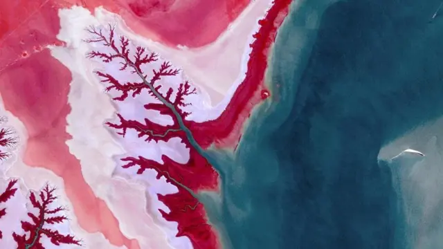 Google Earth