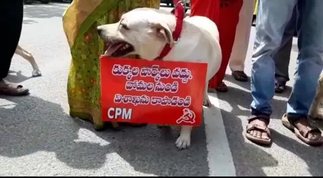కుక్కల పార్క్‌కు వ్యతిరేకంగా కుక్కతోనే నిరసన ప్రదర్శన