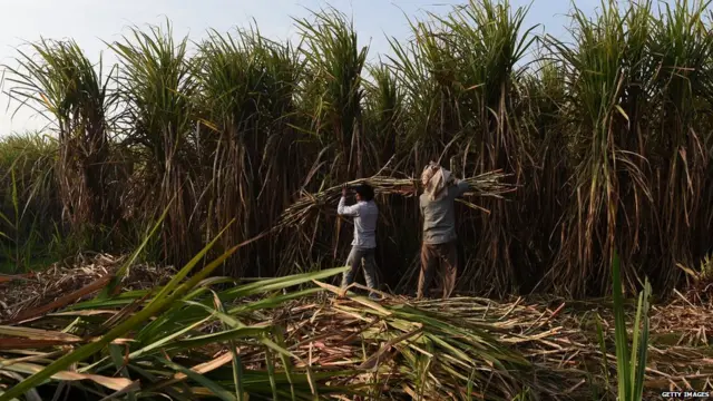 किसान, नरेंद्र मोदी, भारत कृषि