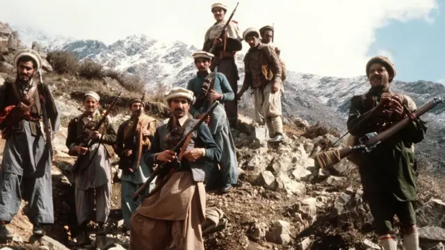 Jinsiy olatni kichik