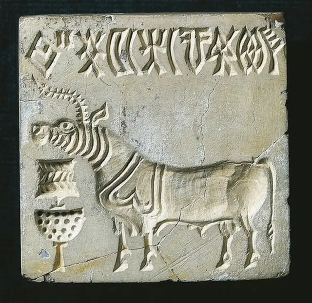 సింధు నాగరికత