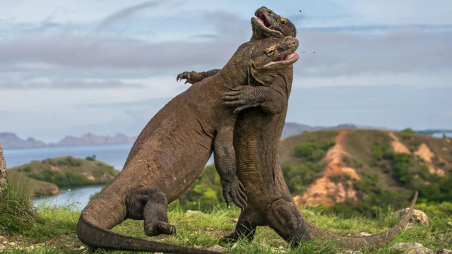 10 yoshli orgazm pornosi