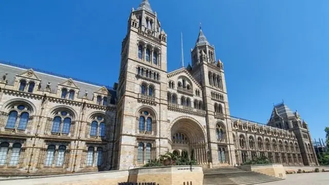 نیچلر ہسٹری میوزیم