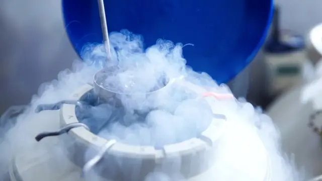 Яйцеклітини