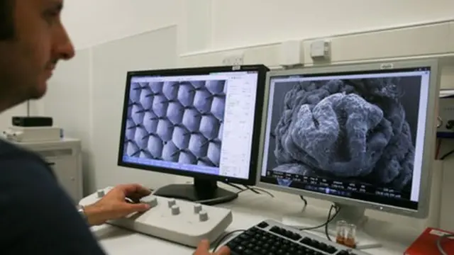 Científico frente a pantallas que muestran el ojo de una mosca en un microscopio de electrones