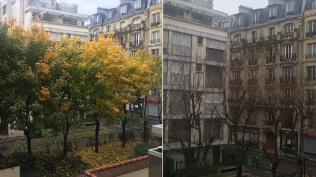 Lafichi yeroo waqxii garaa garaa lamatti waan fakkaatu