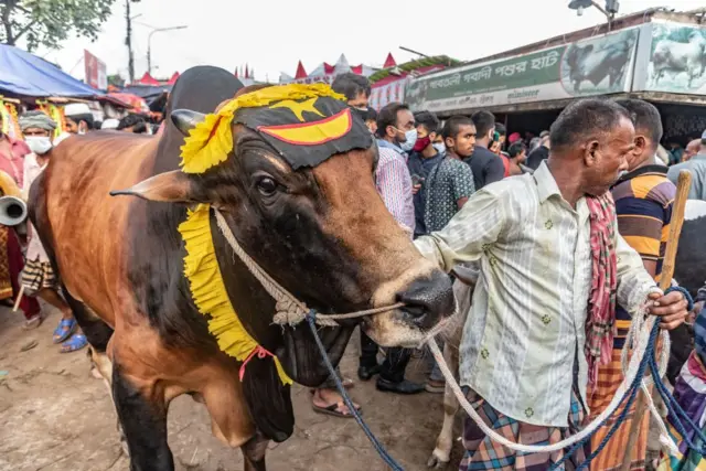 পশুর হাট