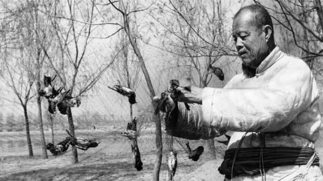 चीन चिमण्या